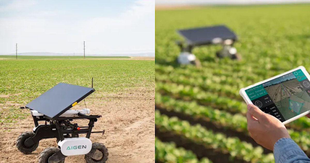 Бывший инженер Tesla создал робота для борьбы с сорняками